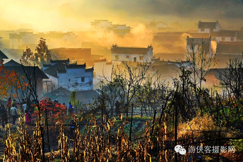 11月的中国最美秋色在哪里？-33