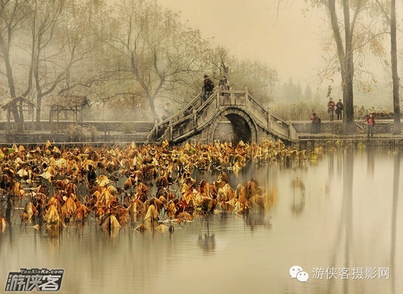 11月的中国最美秋色在哪里？-14