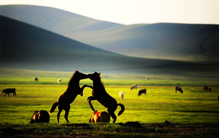 内蒙古的最佳旅游时间-2