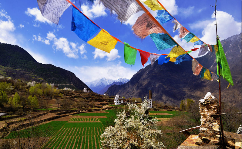 藏区最美的春天——丹巴梨花-1
