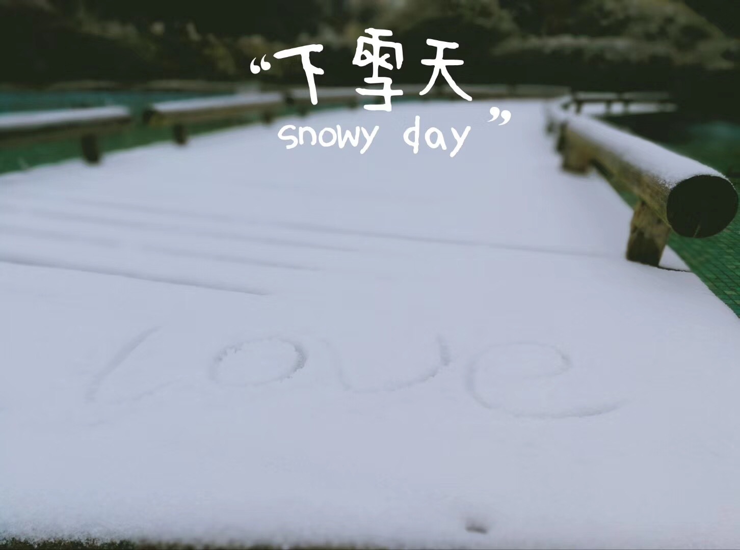 杭州终于下雪啦，你的朋友圈晒雪了吗-9