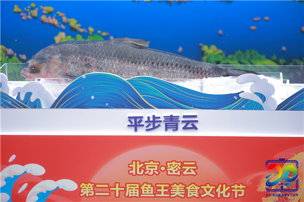 北京-“金秋密云鱼悦飘香” 2023北京·密云第二十届鱼王美食文化节盛大开幕-4