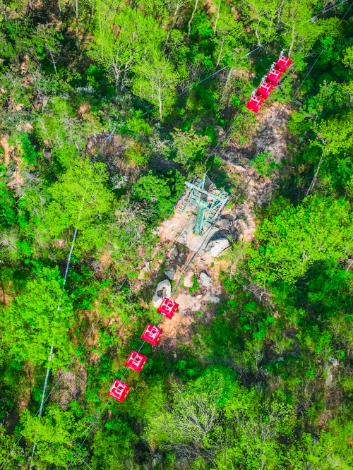 山东-万物新生 不负春光，沂蒙山云蒙景区春季文旅活动盛大开幕-2