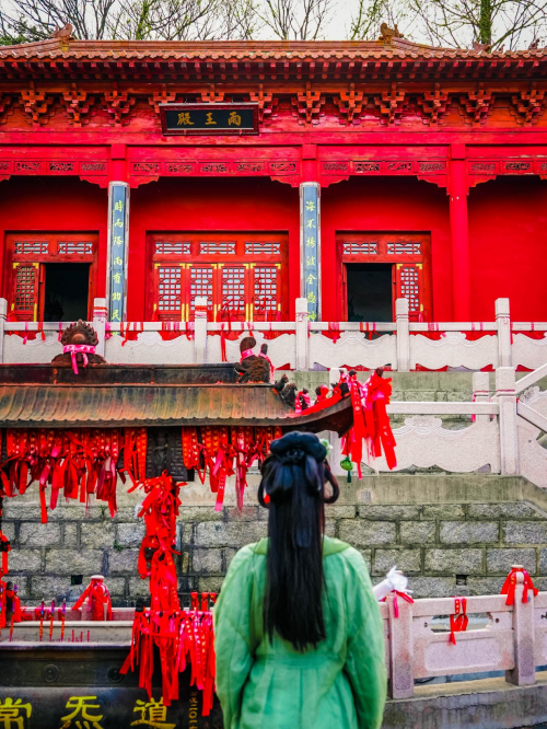 山东-万物新生 不负春光，沂蒙山云蒙景区春季文旅活动盛大开幕-5