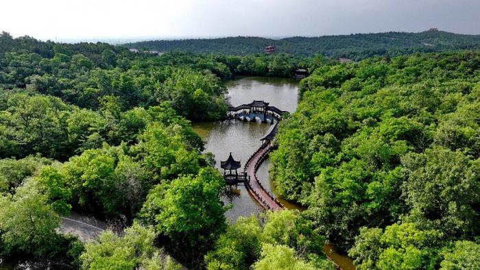 北京-促进文旅融合 摄取绮丽美景 一批摄影大家聚焦马陵山旅游景区-7 北京-促进文旅融合 摄取绮丽美景 一批摄影大家聚焦马陵山旅游景区